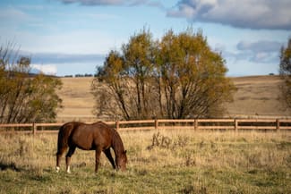 Rural / Farming commercial property sold at 3609 Mid Western Highway Blayney NSW 2799 Rural / Farming commercial property sold at 3609 Mid Western Highway Blayney NSW 2799