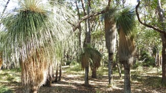 Rural / Farming commercial property sold at 138 Jacka Road (Boallia) Busselton WA 6280