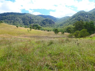 Rural / Farming commercial property sold at 31/2058 Rocky River Road Rocky River NSW 2372 Rural / Farming commercial property sold at 31/2058 Rocky River Road Rocky River NSW 2372