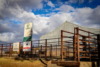 Rural / Farming commercial property sold at 1482 Back Creek Road, Kingsvale (Via) Young NSW 2594 Rural / Farming commercial property sold at 1482 Back Creek Road, Kingsvale (Via) Young NSW 2594