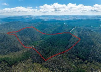 Rural / Farming commercial property sold at 771 Greywacke Road Twenty Forests NSW 2795 Rural / Farming commercial property sold at 771 Greywacke Road Twenty Forests NSW 2795