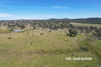 Rural / Farming commercial property for sale at 1305 Bingara Road Bundarra NSW 2359 Rural / Farming commercial property for sale at 1305 Bingara Road Bundarra NSW 2359