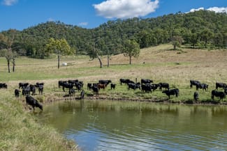 Rural / Farming commercial property sold at 1942-1958 Esk Crows Nest Road Biarra QLD 4313 Rural / Farming commercial property sold at 1942-1958 Esk Crows Nest Road Biarra QLD 4313