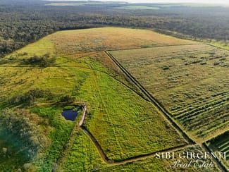 Rural / Farming commercial property for sale at 326 Springs Road Paddys Green QLD 4880 Rural / Farming commercial property for sale at 326 Springs Road Paddys Green QLD 4880