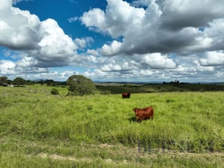 Rural / Farming commercial property sold at 31791 Bruce Highway Booyal QLD 4671
