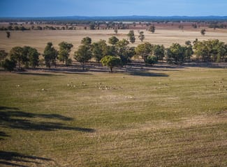 Rural / Farming commercial property sold at 1403 Platina Road Trundle NSW 2875 Rural / Farming commercial property sold at 1403 Platina Road Trundle NSW 2875
