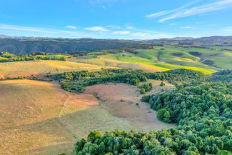 Rural / Farming commercial property sold at 459 Dome Road Dorrigo NSW 2453 Rural / Farming commercial property sold at 459 Dome Road Dorrigo NSW 2453