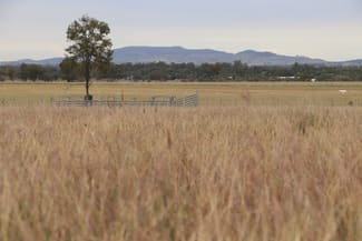 Rural / Farming commercial property sold at Ona Ona Road Roma QLD 4455