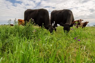 Rural / Farming commercial property sold at Wyndham, Oxley Highway Tamworth NSW 2340