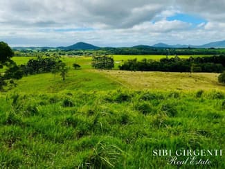 Rural / Farming commercial property for sale at 1297 Mt Molloy Street Mossman QLD 4873 Rural / Farming commercial property for sale at 1297 Mt Molloy Street Mossman QLD 4873