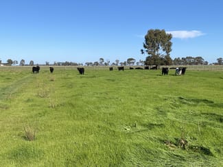 Rural / Farming commercial property sold at 421 Mckenzie Road Kerang VIC 3579