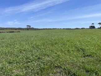 Rural / Farming commercial property for sale at 175 Pethers Lane Millicent SA 5280 Rural / Farming commercial property for sale at 175 Pethers Lane Millicent SA 5280