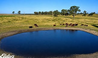 Rural / Farming commercial property for sale at 322 Stockdale - Fernbank Road Stockdale VIC 3862