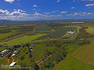 Rural / Farming commercial property for sale at 44 Carman Road Mareeba QLD 4880