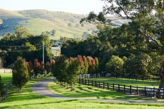 Rural / Farming commercial property sold at 564 Chichester Dam Road, Bendolba Via Dungog NSW 2420 Rural / Farming commercial property sold at 564 Chichester Dam Road, Bendolba Via Dungog NSW 2420