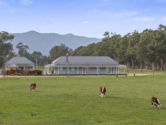 Rural / Farming commercial property for sale at 43 Dueran Lane Mansfield VIC 3722 Rural / Farming commercial property for sale at 43 Dueran Lane Mansfield VIC 3722