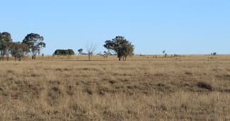 Rural / Farming commercial property sold at 47 EUTHULLA ROAD Roma QLD 4455 Rural / Farming commercial property sold at 47 EUTHULLA ROAD Roma QLD 4455