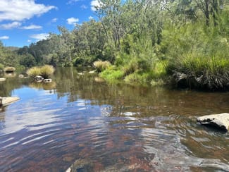 Rural / Farming commercial property for sale at Lot 16 Bonner Road Rivertree NSW 2372 Rural / Farming commercial property for sale at Lot 16 Bonner Road Rivertree NSW 2372