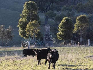 Rural / Farming commercial property for sale at 394 Range Hills Road Bathurst NSW 2795