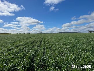Rural / Farming commercial property sold at 207 Wilgaroi Road Bellata NSW 2397