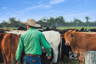 Rural / Farming commercial property for sale at 149 Smiths Crossing Road Bucca QLD 4670 Rural / Farming commercial property for sale at 149 Smiths Crossing Road Bucca QLD 4670