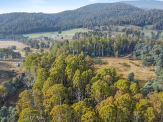 Rural / Farming commercial property sold at Lot 1 Echo Valley Road Liena TAS 7304