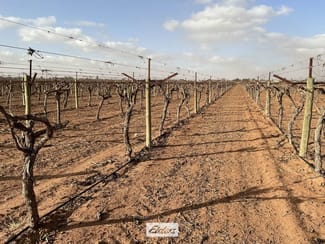 Rural / Farming commercial property for sale at 221 & 245 Cowanna Avenue Merbein South VIC 3505 Rural / Farming commercial property for sale at 221 & 245 Cowanna Avenue Merbein South VIC 3505