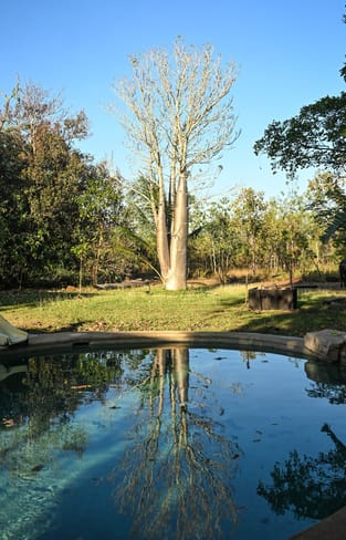 Rural / Farming commercial property sold at 729 Reebeds Road Darwin River NT 0841