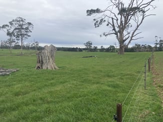 Rural / Farming commercial property for sale at 67 Myrtle Grove Road Wiltshire TAS 7321 Rural / Farming commercial property for sale at 67 Myrtle Grove Road Wiltshire TAS 7321