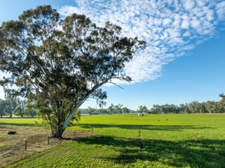 Rural / Farming commercial property sold at 2594 Bedgerabong Road Forbes NSW 2871 Rural / Farming commercial property sold at 2594 Bedgerabong Road Forbes NSW 2871