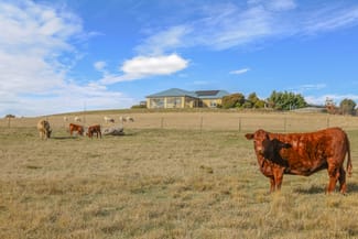 Rural / Farming commercial property sold at 1525 Trunkey Road Georges Plains NSW 2795