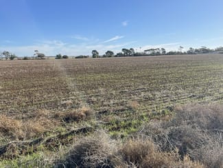 Rural / Farming commercial property sold at Lot 405 North West Terrace Warnertown SA 5540