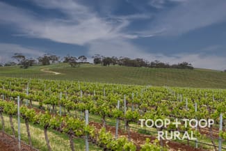 Rural / Farming commercial property sold at 555 Gomersal Road Gomersal SA 5352
