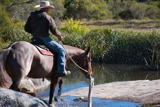 Rural / Farming commercial property for sale at Puglisi Road Dalveen QLD 4374 Rural / Farming commercial property for sale at Puglisi Road Dalveen QLD 4374