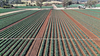 Rural / Farming commercial property sold at Lot 2 Watkins Dr Thornton QLD 4341 Rural / Farming commercial property sold at Lot 2 Watkins Dr Thornton QLD 4341