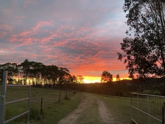 Rural / Farming commercial property sold at 620 Tabulam Road Lower Bottle Creek NSW 2469