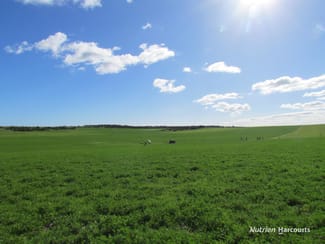 Rural / Farming commercial property sold at 40 Matsen Road Dongara WA 6525 Rural / Farming commercial property sold at 40 Matsen Road Dongara WA 6525