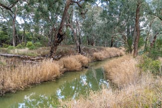 Rural / Farming commercial property sold at 1460 Baldry Road Baldry NSW 2867