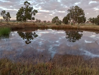 Rural / Farming commercial property sold at 14317 Golden Highway Dunedoo NSW 2844