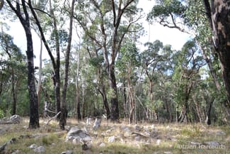 Rural / Farming commercial property for sale at . Youngs Road Baynton VIC 3444 Rural / Farming commercial property for sale at . Youngs Road Baynton VIC 3444