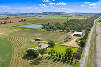 Rural / Farming commercial property for sale at 349 Nangar Road Canowindra NSW 2804