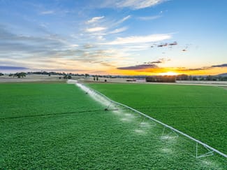 Rural / Farming commercial property for sale at 349 Nangar Road Canowindra NSW 2804