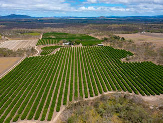 Rural / Farming commercial property for sale at 22 LEONARDI ROAD Mareeba QLD 4880 Rural / Farming commercial property for sale at 22 LEONARDI ROAD Mareeba QLD 4880