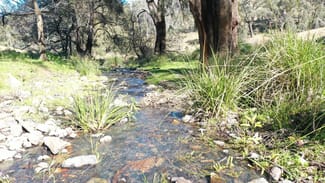 Rural / Farming commercial property sold at 1022 Danglemah Road Limbri NSW 2352 Rural / Farming commercial property sold at 1022 Danglemah Road Limbri NSW 2352