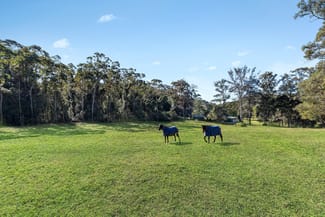 Rural / Farming commercial property sold at 106 Footts Road Ourimbah NSW 2258