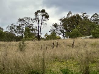 Rural / Farming commercial property sold at "Top Rosemount" Rosemount Rd Denman NSW 2328