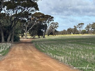 Rural / Farming commercial property sold at . "Red Hill", Bagnalls Road Dumbleyung WA 6350