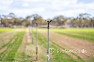 Rural / Farming commercial property for sale at Cnr Norman Road Merbein West VIC 3505