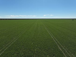 Rural / Farming commercial property sold at 1127 Green and Branders Road Carinda NSW 2831