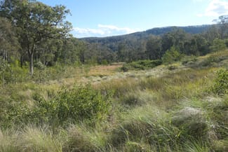 Rural / Farming commercial property sold at 3 Hills Gate Forest Road Upper Tooloom NSW 2475 Rural / Farming commercial property sold at 3 Hills Gate Forest Road Upper Tooloom NSW 2475